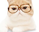 あなたのお話しお聞きします こころの中モヤモヤを全部吐き出して。あなたの今を笑顔にします イメージ1