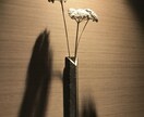 観葉植物の育て方を樹種により詳しくご説明します 樹種によって特性(暗さに弱いなど)は全然違う！！ イメージ4