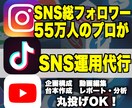 SNSのプロがあなたのSNSアカウントを運用します 採用単価を10万円に！フォロワー100万人がサポート！ イメージ1