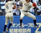 オリックスバファローズ２０１４　楽しみ方♪ イメージ1