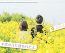 instagram風プロフィールムービー作ります おしゃれでシンプルな結婚式にしたい方へオススメ☆ イメージ10
