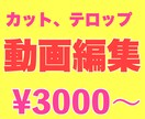 初心者向け動画編集します カットやテロップ入れなど基本の編集をします！ イメージ1