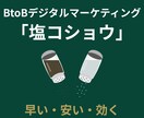 BtoB企業向けWebマーケ支援を提供します 戦略設計から施策実行まで一気通貫で成果創出を支援します イメージ1