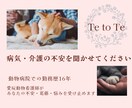 どうぶつさんの病気や介護の不安や悲しみを支えます 動物病院勤務16年の愛玩動物看護師がお話しを聞きます イメージ1