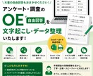 市場調査・アンケートの自由回答を整理します Excel・CSV納品可能｜表記統一・カテゴリ分類も対応 イメージ1