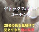 丁寧に心に寄り添うコーチングを提供します デトックボイス魂の昇華コーチング イメージ1