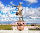 北大卒が3ヶ月間高校生の学習を指導します チャットで迅速かつ親身に毎日管理、指導致します。 イメージ1