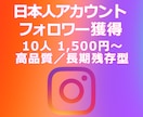 IG:日本人フォロワー獲得を支援します Instagram／長期残存型／減少が不安な方向け イメージ1