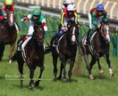 中央競馬・究極の馬券術教えます 中央競馬で少額投資で高配当をゲットする方法を教示します。 イメージ1