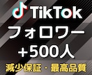 TikTokのフォロワー500人以上増やします 格安で最高品質をお届け★伸びる拡散や宣伝で増加します★ イメージ5