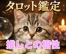 推し活タロット！運命の絆を読み解く鑑定します 推しとの想いの意味や関係性を、タロットで丁寧に読み解きます イメージ1