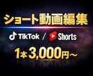 初心者歓迎TikTok&Shorts動画編集します 【実績作りOK】縦動画編集｜まずは1本から対応します イメージ1
