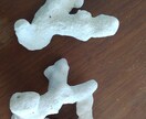 アクセサリー用に与論島のサンゴのかけらお譲りします 与論島ブルーの海で育ったサンゴのかけら(原型)お譲りします イメージ4