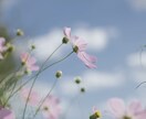 ふんわり関西弁で、あなたのお話を優しくお聞きします ♦癒されたい、ちょっと話し相手がほしい、悩み相談、雑談したい イメージ5