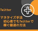 Twitter初心者用のマネタイズ手法を教えます 毎日コツコツできるマネタイズ手法を大公開 イメージ1