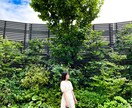 普通の写真を鮮やかに仕上げます 埋もれる写真から、選ばれる写真へ イメージ4
