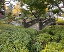 茶道を始めたい方、最初の一歩までの不安を解消します 流派に所属していないのでタブーなしで答えます イメージ1