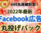利用者５００名！facebook広告全て代行します 「オールインワン！facebook広告丸投げパック」 イメージ1