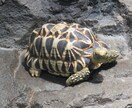 こころの悩みカウンセラーが聴きます ⭐メンタルヘルスが気になる。不安な気持ちを打ち明けたい イメージ5