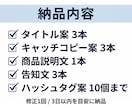 商品説明文と告知文を売れる形に整えます 売る導線まで最短で伝わる訴求文に整えます イメージ3
