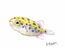 程よくリアルで暖かみのあるイラスト描きます 商用案件から個人観賞用まで 生き物を中心に描きます イメージ4