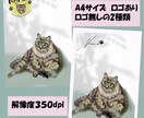 ペット似顔絵☆ロゴ付☆データ2種類！作ります 「リアル＆ほんわか＆可愛いっ」に「ゆるロゴ」まで付いちゃう イメージ3