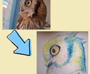 アナログイラストでペットの似顔絵を作成します 郵送価格込み、お急ぎ対応可能。3匹目から追加料金がかかります イメージ2