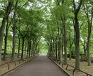 1日で漠然とした不安を形にします ☁️もやっとした不安を僕に思ったままの言葉で話してください イメージ1
