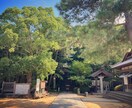 悩み相談、愚痴聞き致します 親身にあなたの悩みに寄り添います。 イメージ1