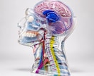 3Dプリント出力・試作から量産まで対応します FDM・SLA・SLS対応。データから見積もります イメージ7