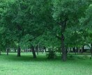 就活にも！貴方の強み、自己分析のお手伝い致します 自己評価、モチベーションアップして自信のもてる貴方に大変身 イメージ6