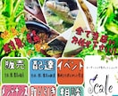 爬虫類に関する飼育の仕方や立ち上げ方等お教えします 爬虫類専門店が飼育の仕方や立ち上げ方等をアドバイスします！ イメージ2