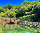 撮った写真の販売、インスタ用等の加工を承ります あなたの思い出に色を付けます。自然の癒しを堪能しませんか？ イメージ1