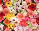 長すぎる大病院の待ち時間を嘆き、思いを共有します ピアカウンセリングってほどでもない待合室話／詳細は本文参照を イメージ4