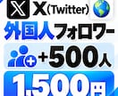 X(旧Twitter)のフォロワーを増加します 外国人のフォロワー500人～｜超高品質で減少無し！！ イメージ7