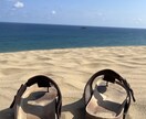 英会話/家庭教師します 海外在住経験14年の海外獣医大卒です イメージ1