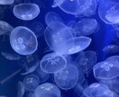 イケボが誰にも言えない悩み相談聴きます 落ち着いた声で誰にも言えない悩み相談聴きます イメージ1