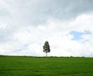 北海道旅行計画のお手伝いをします 思い出に残る素敵な旅をしたい方！ イメージ2