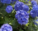 人間関係の構築の秘訣教えます 想いを寄せる相手にグッと近づくチャンス！！ イメージ2