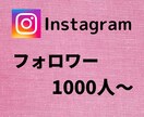 インスタフォロワーが増えるよう宣伝します ★ココナラ最安値★ほとんど減少無し★パスワード不要 イメージ1