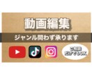 youtube・TikTokなどの動画編集行います ご希望に沿った物をお届けいたします イメージ1