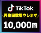 TikTok日本人再生回数最大10万回増やします 【最高品質】30日の補償付き！アカウントの信用度アップに⭕️ イメージ1