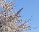 お話し聞きます ☆難しいことはわからないけど、とにかく話してみませんか？ イメージ2