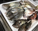 はじめての魚釣り！をお手伝いします 魚釣り、何からすれば良いの？をレクチャーします！ イメージ5