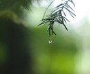 自然音とピアノのBGMをご提供します 癒しのNatureSound & ピアノBGM音源♩ イメージ2
