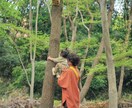 家族のお悩み、お子さんのお悩み、その他色々聴きます 現役保育士にあれこれ話してみませんか？ イメージ1
