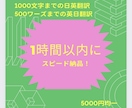 お急ぎの翻訳、1時間以内に超スピード納品します 日英1000文字、英日500ワーズまで超スピード納品！ イメージ1