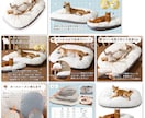 丸投げOK!Yahoo楽天など商品画像作成します 中国輸入他、ライバルに差をつけたい方。売れる画像作成します！ イメージ5