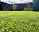芝生管理の基本をやさしく解説します ネットにも載ってない、誰も教えてくれない芝生管理の「考え方」 イメージ2