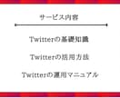 Twitterの正しい運用方法を教えます インフルエンサーのノウハウを破格の値段ではここだけですます。 イメージ3